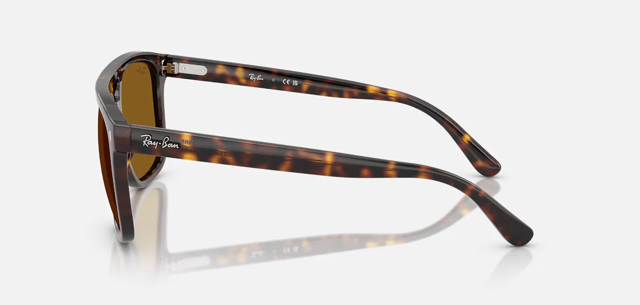 Ray-Ban Unisex Square Acetate Sunglasses – Havana/Brown Classic